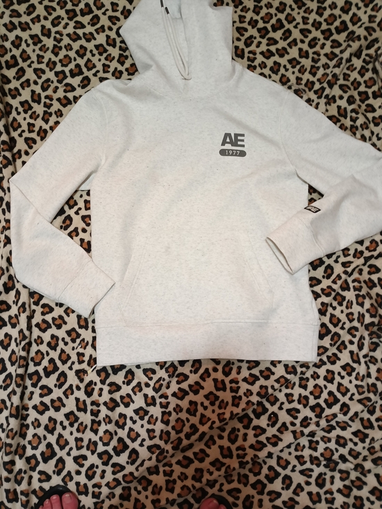 American Eagle Outfitters Other - American Eagle AE 1977 Pullover Hoodie Men's Small Heather Oatmeal